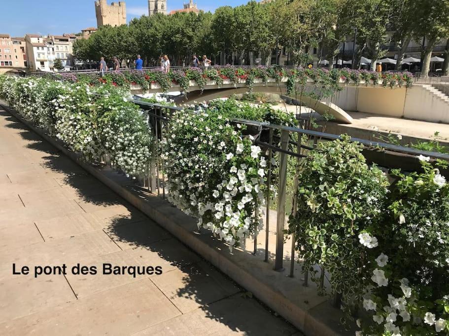 Narbonne : Super Appartement De Qualite المظهر الخارجي الصورة